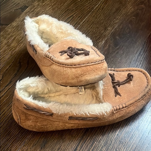 Ugg Dakota Slipper - Picture 1 of 14